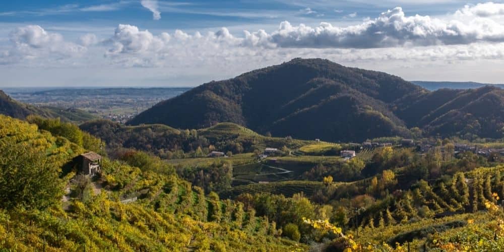 Prosecco Hills of Conegliano and Valdobbiadene